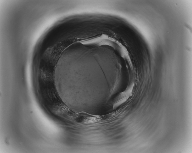 X0000096440239200802071755