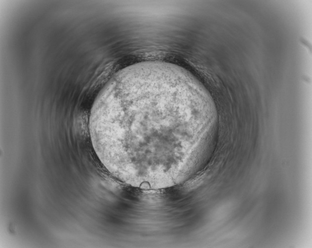 X0000096440240200802071755