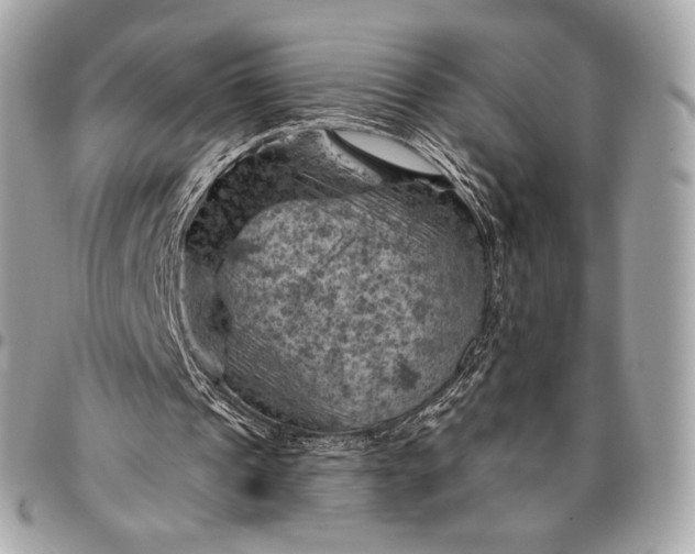 X0000096440241200802071754