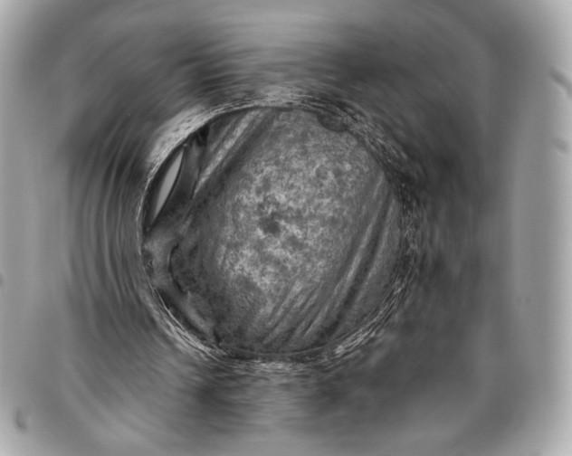 X0000096440242200802071754