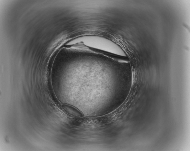 X0000096440243200802071754