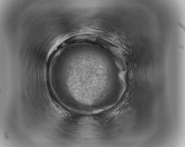 X0000096440244200802071754