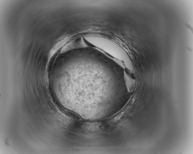 X0000096440245200802071754