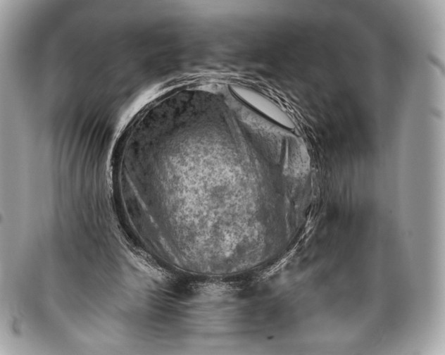 X0000096440246200802071755