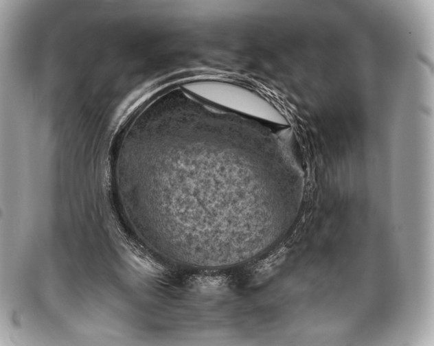 X0000096440247200802071755