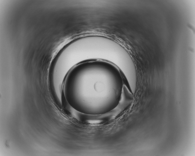 X0000096440248200802071755