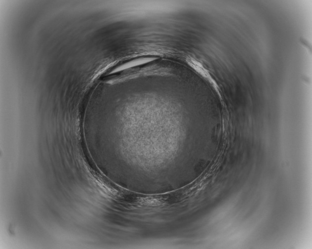 X0000096440249200802071755