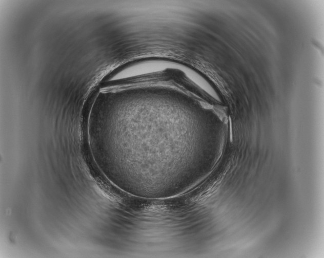 X0000096440252200802071755