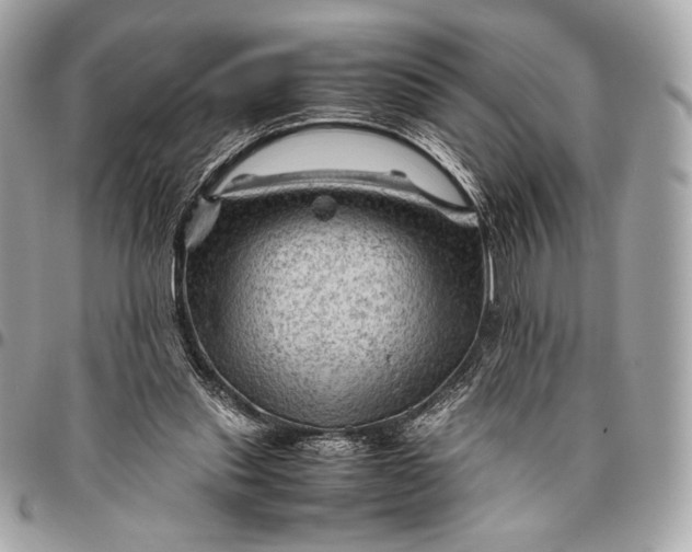 X0000096440253200802071755