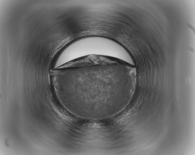 X0000096440254200802071755