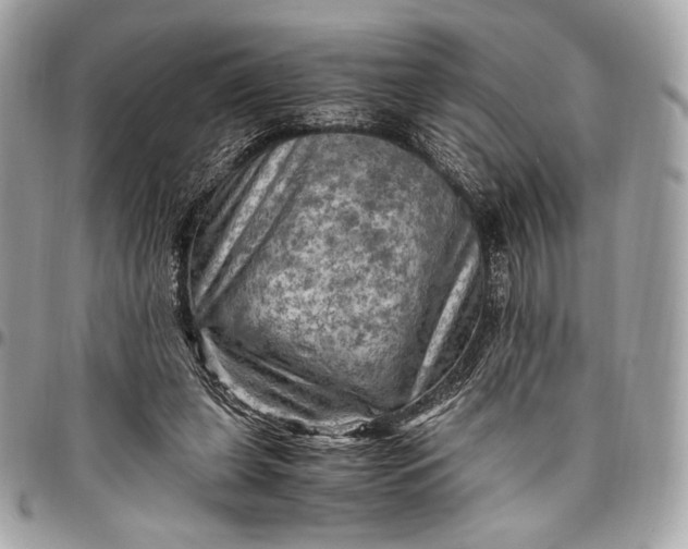 X0000096440255200802071755