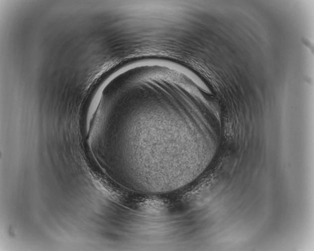 X0000096440256200802071755