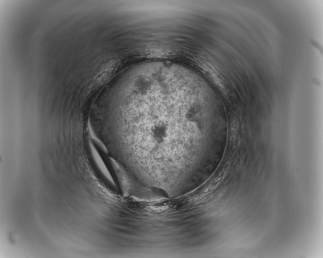 X0000096440257200802071755