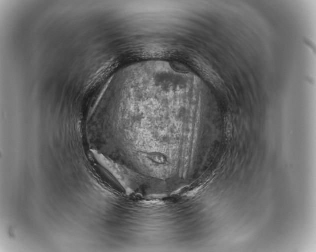 X0000096440258200802071755