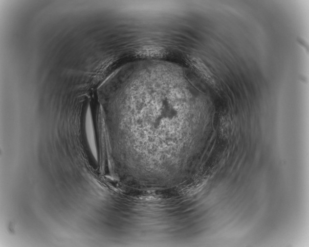 X0000096440259200802071755