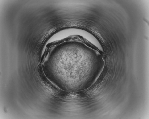 X0000096440260200802071755