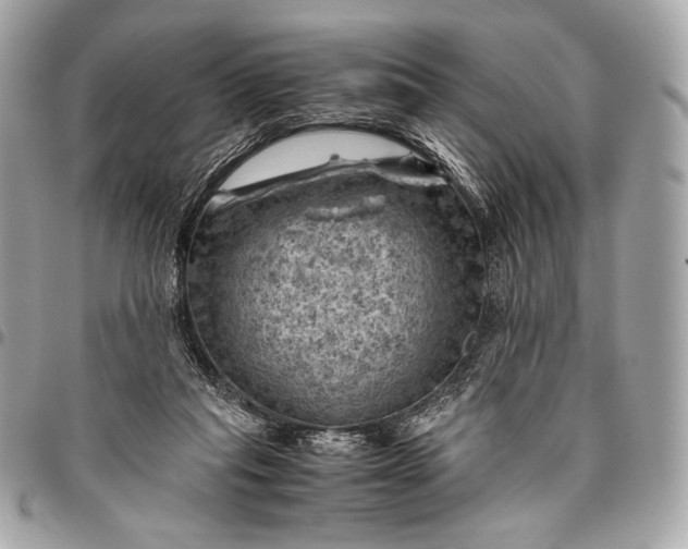 X0000096440261200802071755