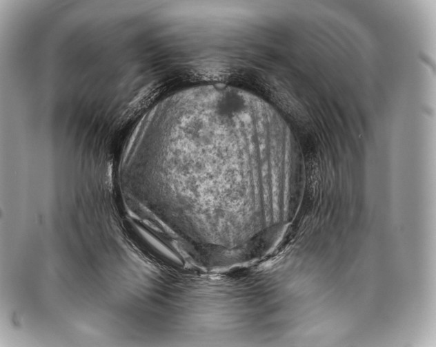 X0000096440262200802071755