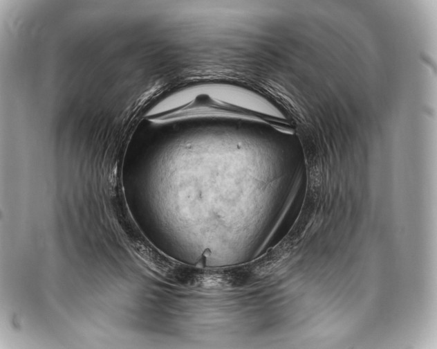 X0000096440264200802071755