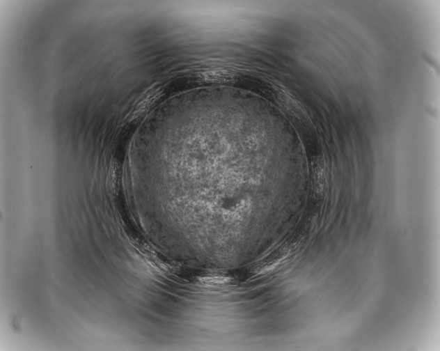 X0000096440266200802071755