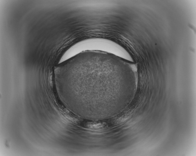 X0000096440267200802071755