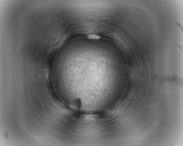 X0000096440268200802071755