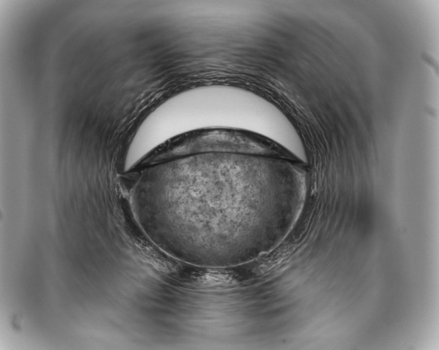 X0000096440270200802071755