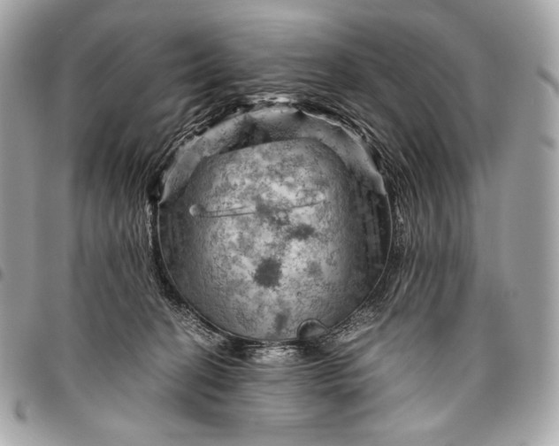 X0000096440274200802071755