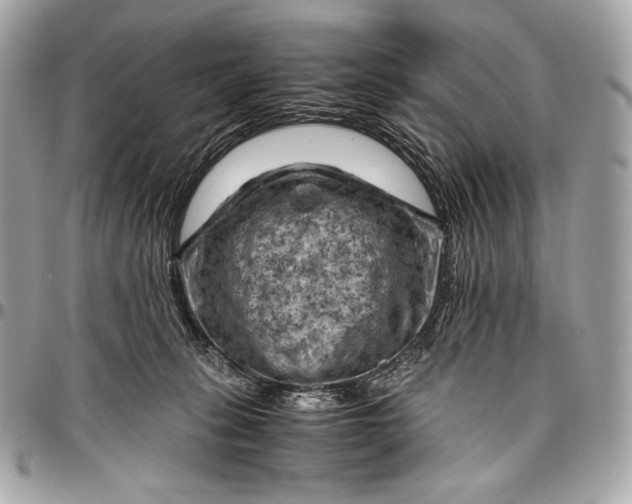 X0000096440275200802071755