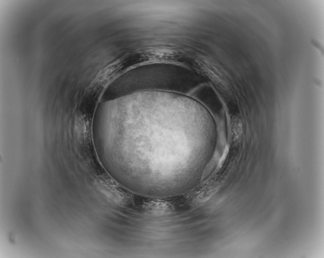 X0000096440276200802071755