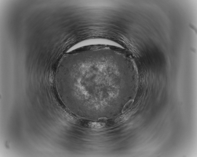 X0000096440277200802071755