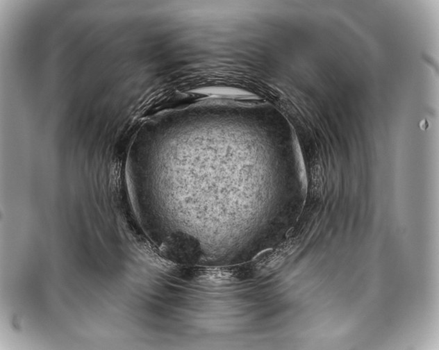 X0000096440278200802071755