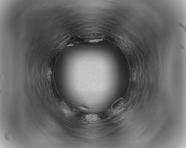 X0000096440279200802071755