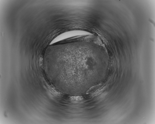 X0000096440281200802071755