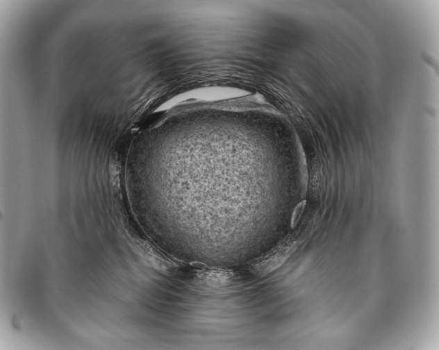 X0000096440282200802071755