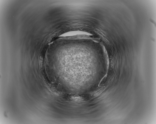 X0000096440283200802071755