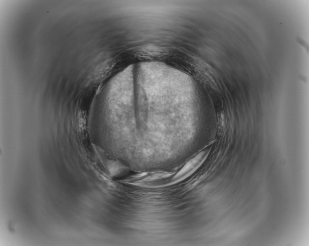 X0000096440284200802071755