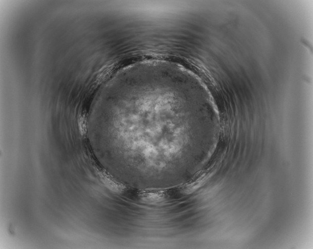 X0000096440285200802071755