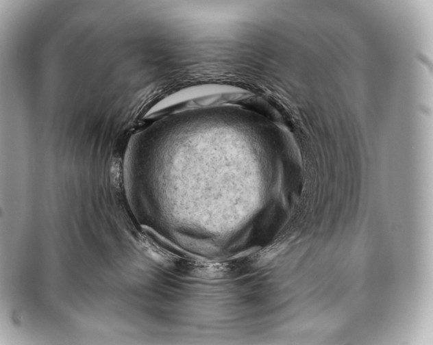 X0000096440288200802071755