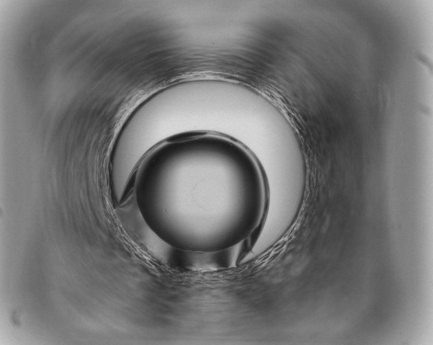 X0000096440289200802071754