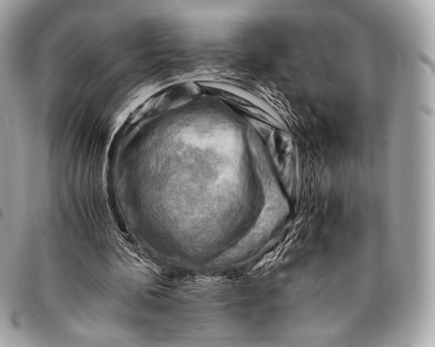 X0000096440292200802071754