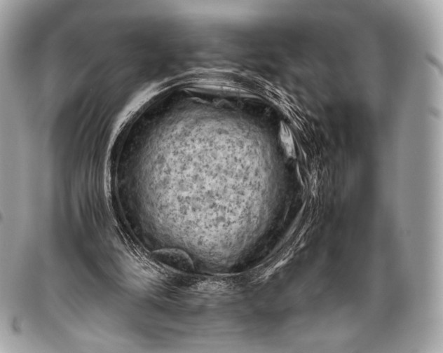 X0000096440294200802071754