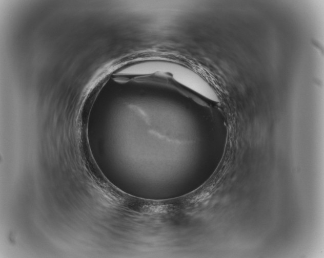 X0000096440295200802071754