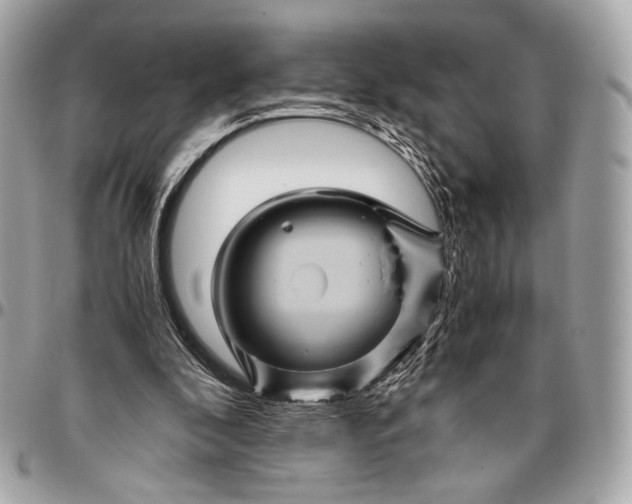 X0000096440296200802071754