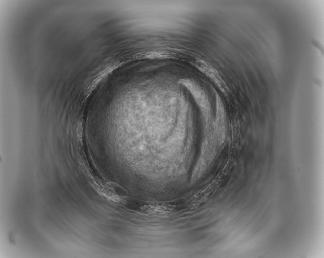 X0000096440297200802071754