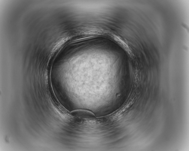 X0000096440298200802071754