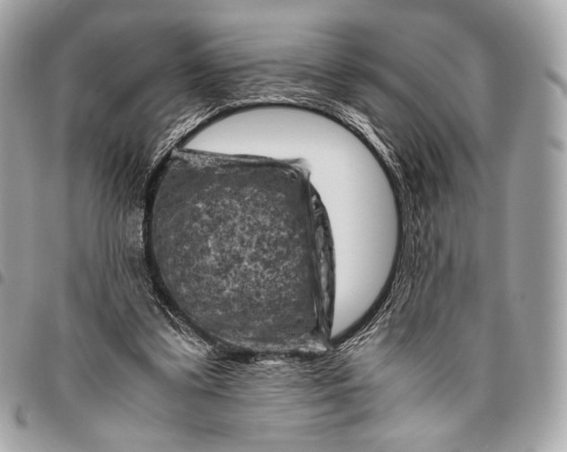 X0000096440299200802071754