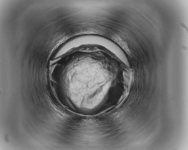 X0000096440300200802071754