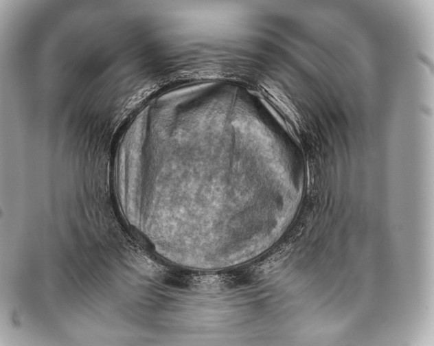 X0000096440301200802071754