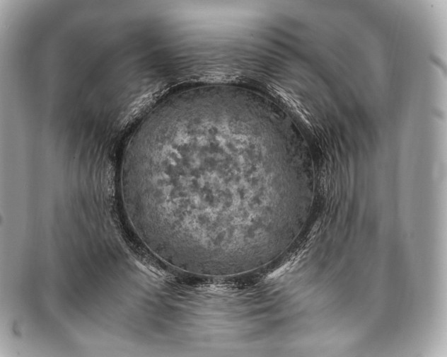 X0000096440303200802071754